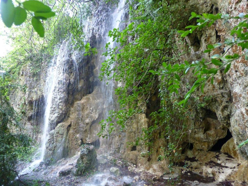 La Fusteria Del Casat Sarroca de Bellera