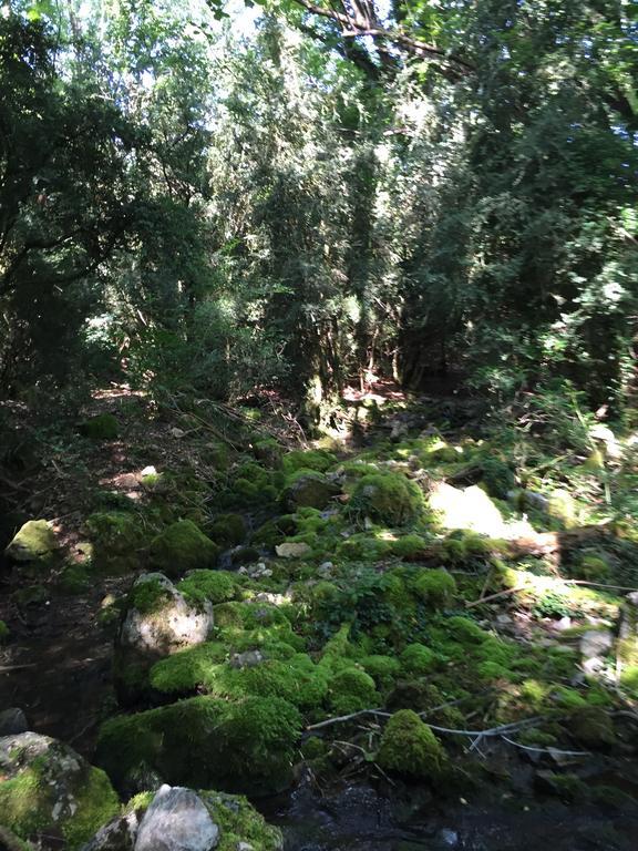 La Fusteria Del Casat Sarroca de Bellera